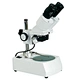 Binocular Stereo Microscope